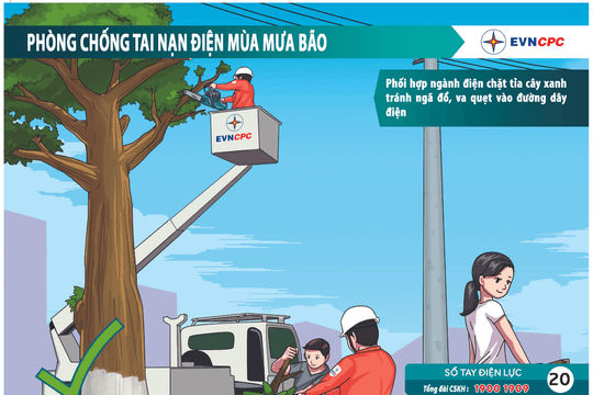 Công ty Điện lực Đà Nẵng hướng dẫn các biện pháp đảm bảo an toàn điện trong mùa mưa bão