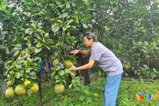 Đồng hành giúp nông dân thoát nghèo