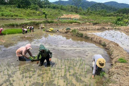 Đổi thay ở Lao Đu