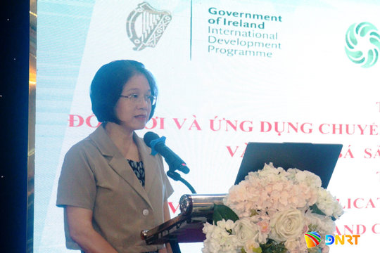 Đổi mới xúc tiến thương mại, quảng bá sản phẩm của hợp tác xã