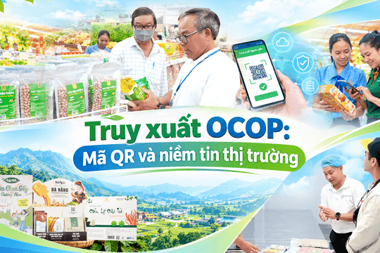 [eMagazine] - Truy xuất OCOP: Mã QR và niềm tin thị trường