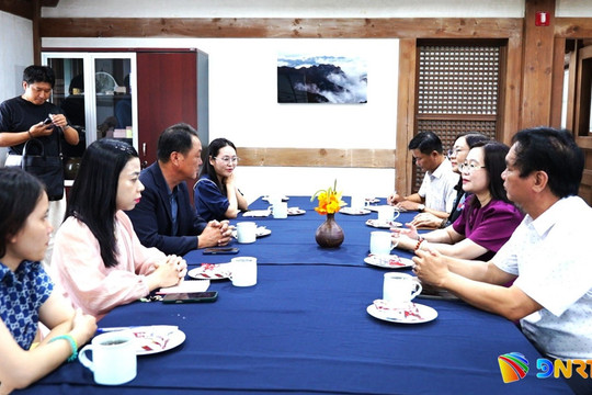 Đà Nẵng trao đổi kinh nghiệm, mở rộng hợp tác du lịch, văn hóa, truyền thông với Yeongam (Hàn Quốc)