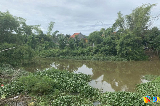 Sông quê qua những bến đời