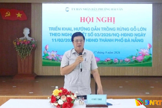 41 hộ dân phường Hải Vân đăng ký trồng rừng gỗ lớn