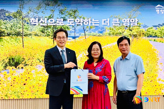 Da Nang, Yeongam County strengthen mutual understanding