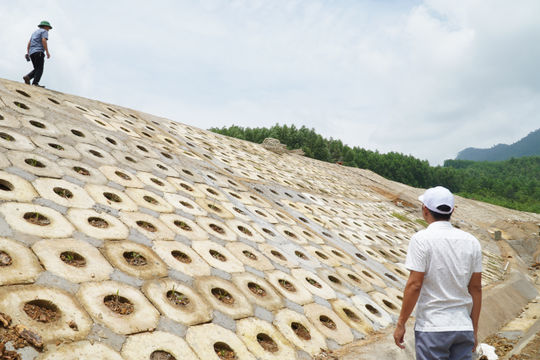 Phước Trà ứng phó thiên tai theo cấp độ rủi ro và địa bàn