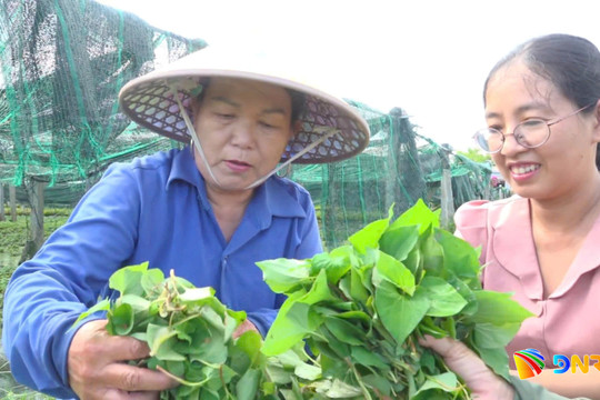 Hỗ trợ phụ nữ phát triển kinh tế