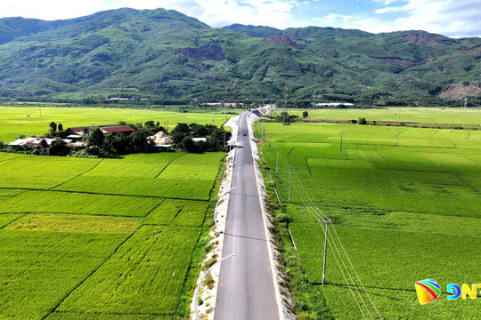 Đề xuất đưa một số cầu đã thông đường dẫn ra khỏi báo cáo định kỳ