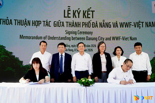 Da Nang launches project to restore Cu De River watershed forests