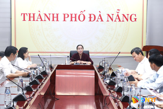 Đà Nẵng: Tập trung triển khai đúng tiến độ các dự án trọng điểm về văn hóa, y tế