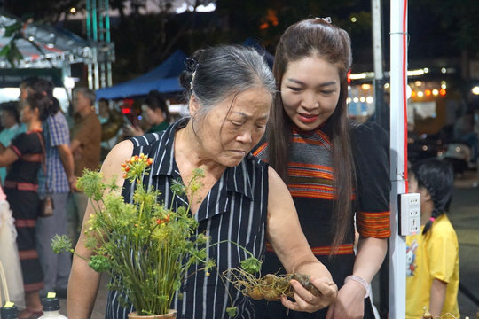 Ngày 25 - 27/9, sẽ diễn ra Chương trình giới thiệu, quảng bá sâm Ngọc Linh và dược liệu Đà Nẵng