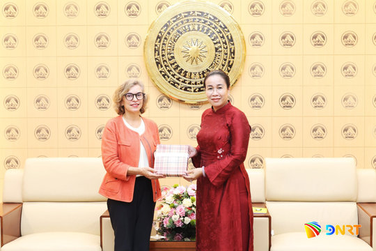 Da Nang seeks stronger cooperation with Spain
