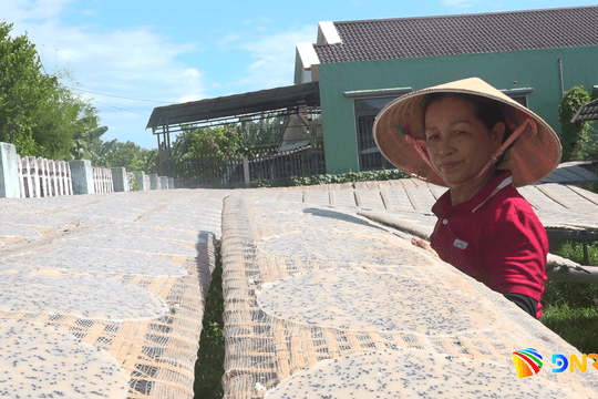 Xã Thăng Điền tập huấn chương trình OCOP giai đoạn 2026 - 2030