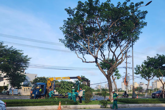 Kích hoạt kịch bản ứng phó thiên tai - Kỳ 1: Sẵn sàng mọi phương án