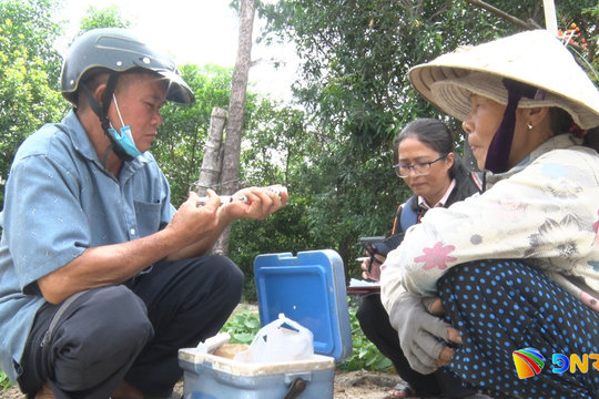 Nguy cơ bệnh dại luôn hiện hữu