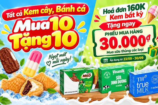 Cách săn ưu đãi kem cây mua 10 tặng 10 cùng phiếu mua hàng 30K tiết kiệm tại Bách hóa XANH