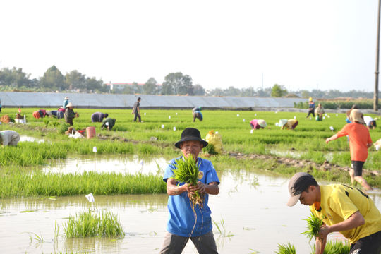 “Dân vận khéo” khu vực hợp tác xã