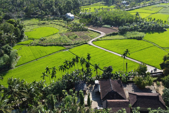 Cội nguồn xứ Quảng trong nhân cách cụ Huỳnh Thúc Kháng