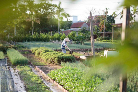 Booking.com recommends Tra Que Vegetable Village as community-based tourism destination