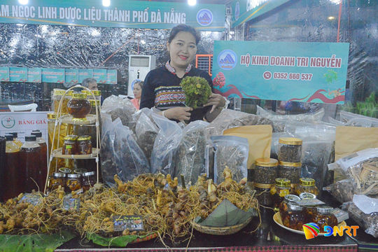 Giới thiệu, bày bán sâm Ngọc Linh và dược liệu Đà Nẵng cạnh chợ đêm Sơn Trà