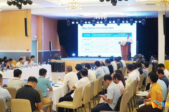 Mở rộng bản đồ đổi mới sáng tạo