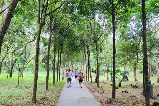 Mỹ Sơn mở lối vào rừng