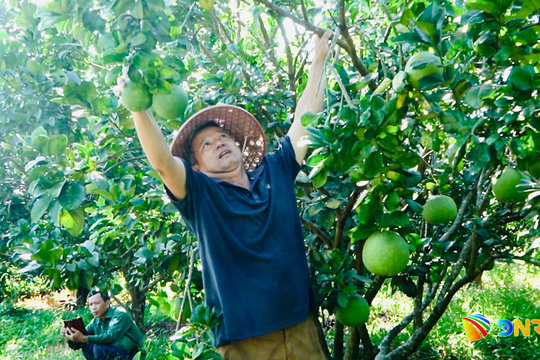 Xã Quế Phước nỗ lực xây dựng nông thôn mới