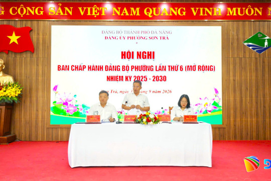 9 tháng, thu ngân sách trên địa bàn phường Sơn Trà ước đạt 1.332 tỷ đồng