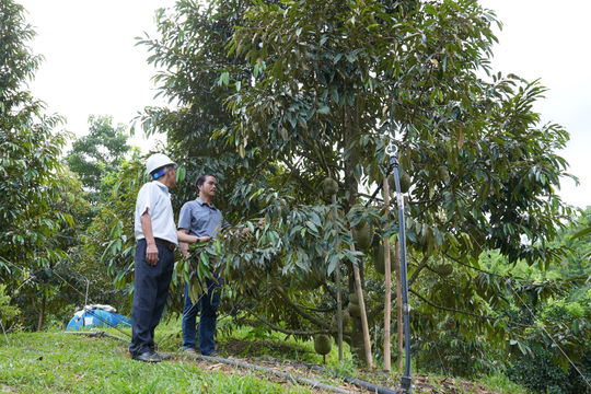 Trợ lực cho phát triển miền núi: Thúc đẩy phát triển bền vững