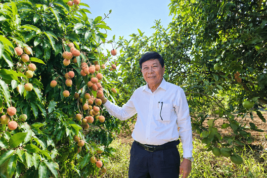 Những nông dân dám nghĩ, dám làm