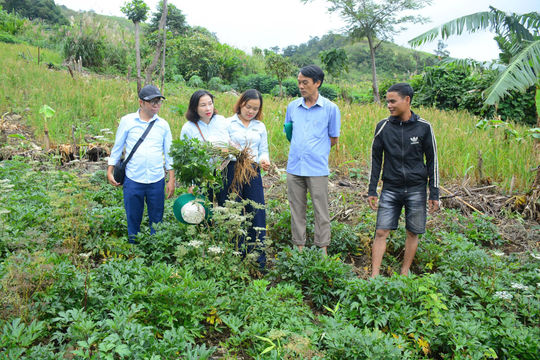 Sinh kế bền vững nơi vùng cao