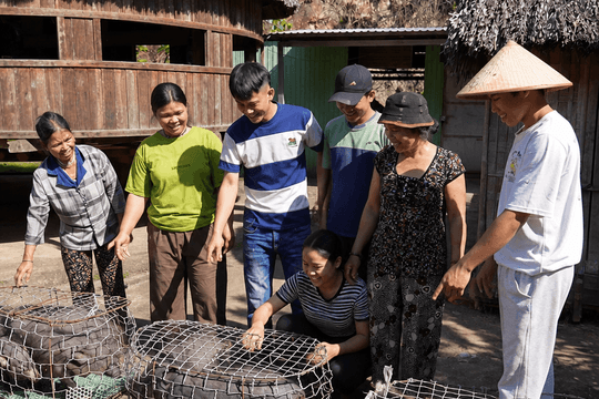 Xã Avương hỗ trợ 100 con heo cỏ sinh sản cho 50 hộ dân