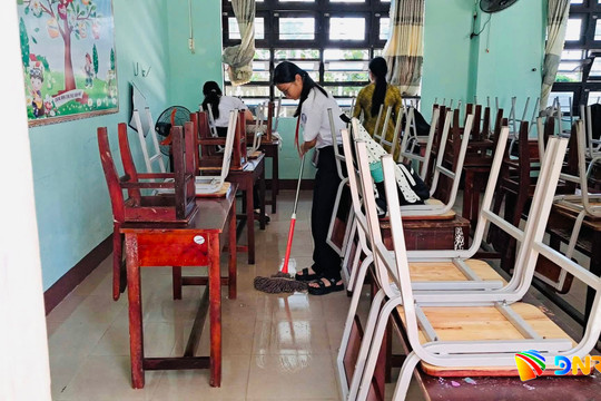 Đà Nẵng chủ động phòng sốt xuất huyết trong trường học