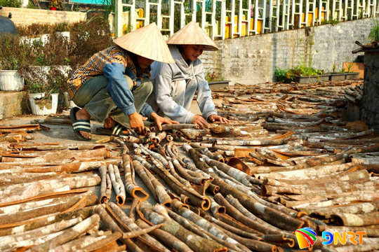 Trợ lực cho phát triển miền núi