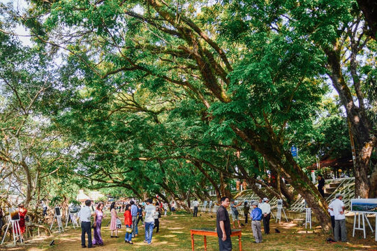 Kết nối không gian mới