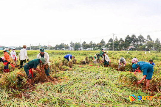 Gỡ tâm lý "sợ sai", Hà Nha xắn tay giải quyết việc khó cho dân