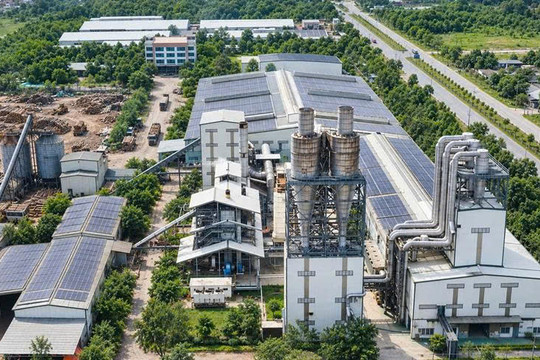 MDF VRG Quảng Trị - Doanh nghiệp gỗ miền Trung chuyển dịch theo xu hướng sản xuất xanh