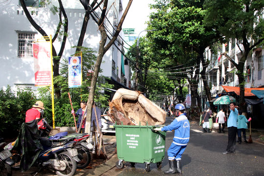 Ban Đô thị HĐND thành phố giám sát chuyên đề về công tác quản lý chất thải rắn