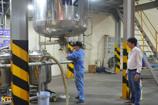 Da Nang businesses accelerate green transition in production