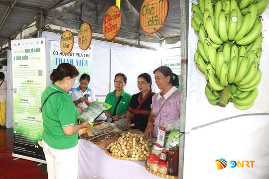 Supporting Da Nang women for green economic growth