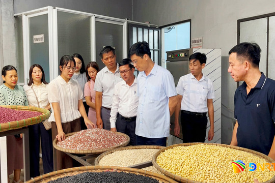 Giữ nguồn nguyên liệu sản xuất qua mùa mưa bão