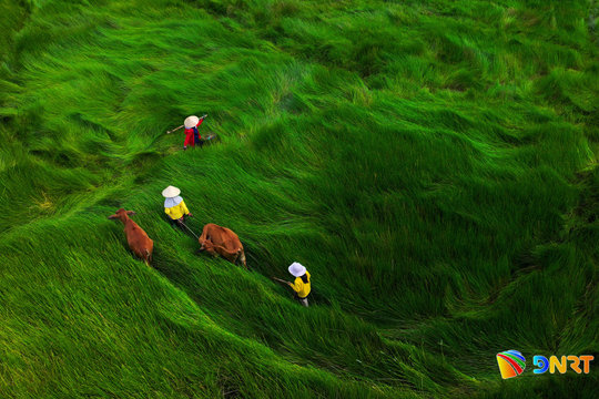 The colors of Da Nang women