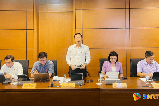 Đại biểu Quốc hội thành phố Đà Nẵng góp ý hoàn thiện pháp luật về tố tụng hình sự, thỏa thuận quốc tế