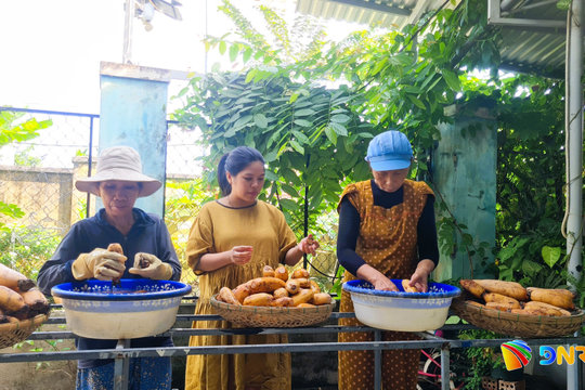 Vốn chính sách hỗ trợ phát triển kinh tế