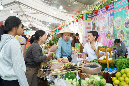 Phước Trà quyết tâm hoàn thành nhiệm vụ phát triển kinh tế - xã hội