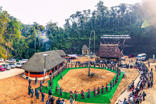 Dấu nhớ từ cây