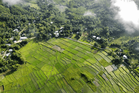 Phát triển Nam Giang là trung tâm sản xuất nông - lâm nghiệp và du lịch sinh thái