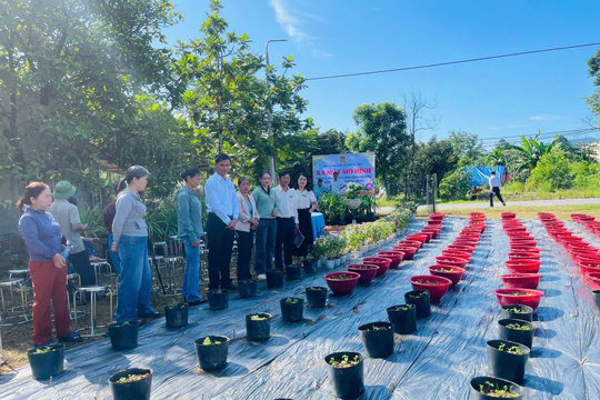 Chuyển đổi phương thức canh tác theo hướng xanh