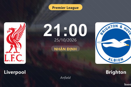 Nhận định Liverpool vs Brighton: Cơ hội bám đuổi ngôi đầu