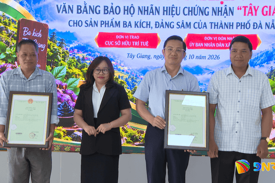 Mở rộng bảo hộ nhãn hiệu Ba kích và Đảng sâm Tây Giang